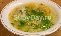 Homemade noodle soup with chicken